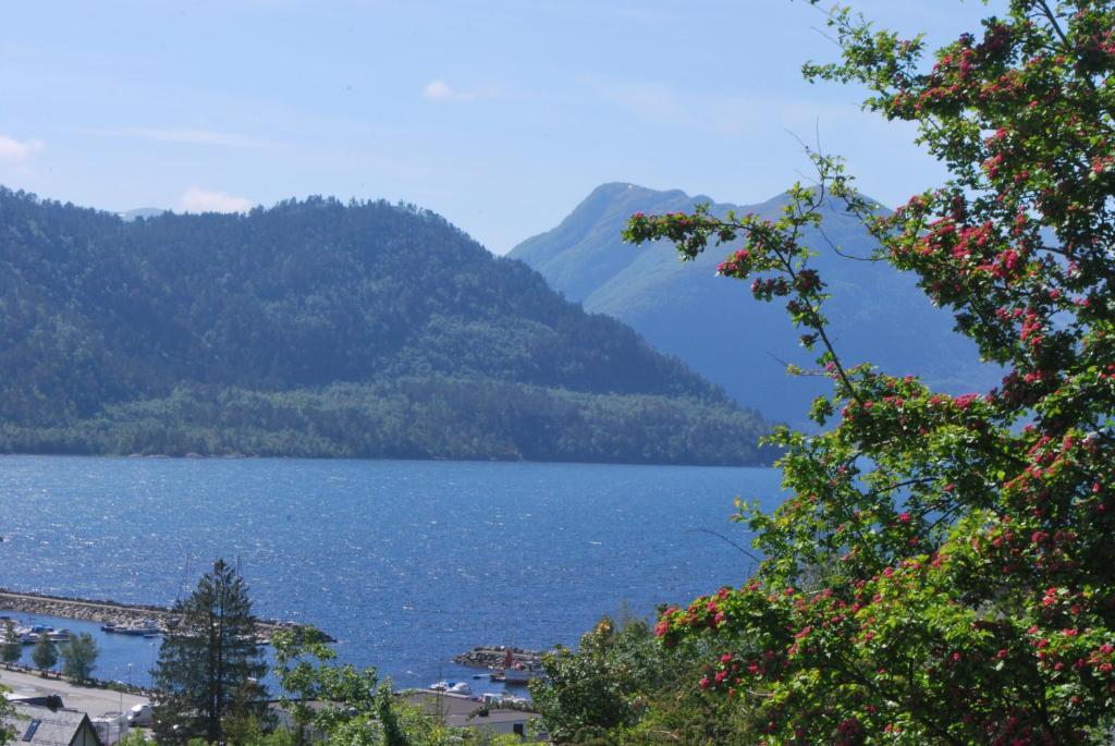 Sjoholt Camping Exterior foto
