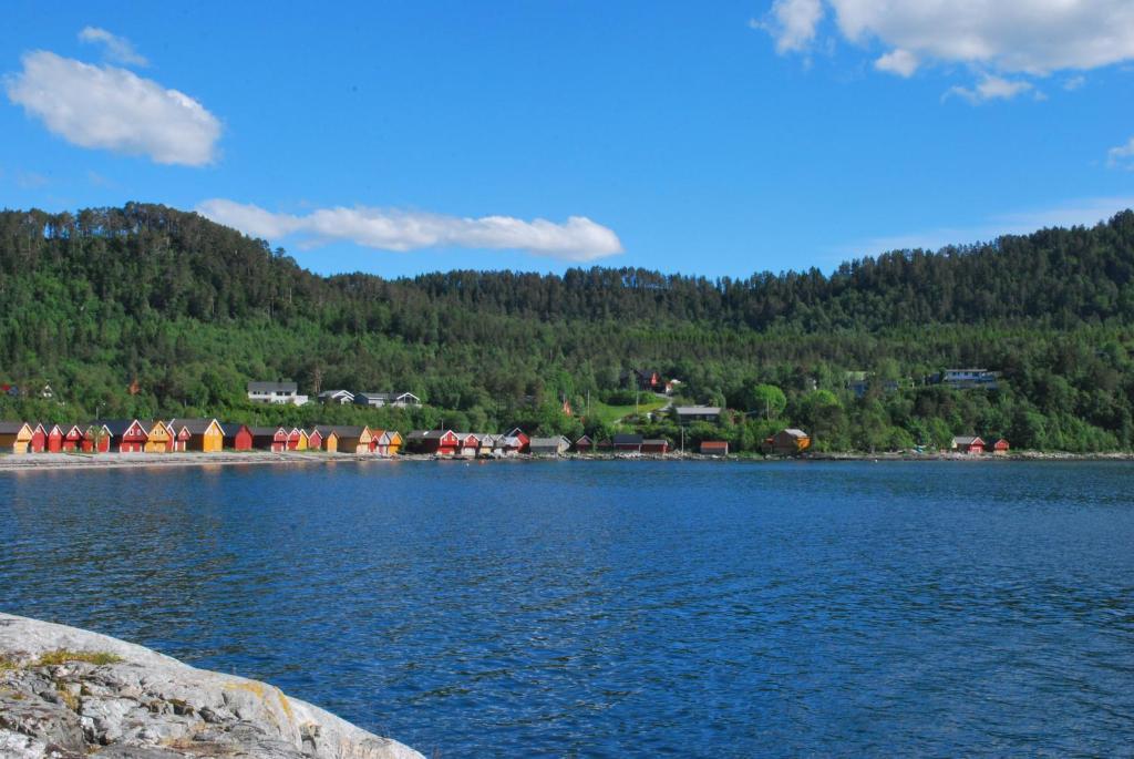 Sjoholt Camping Exterior foto